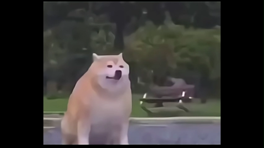 Instagram Viral Memes Download