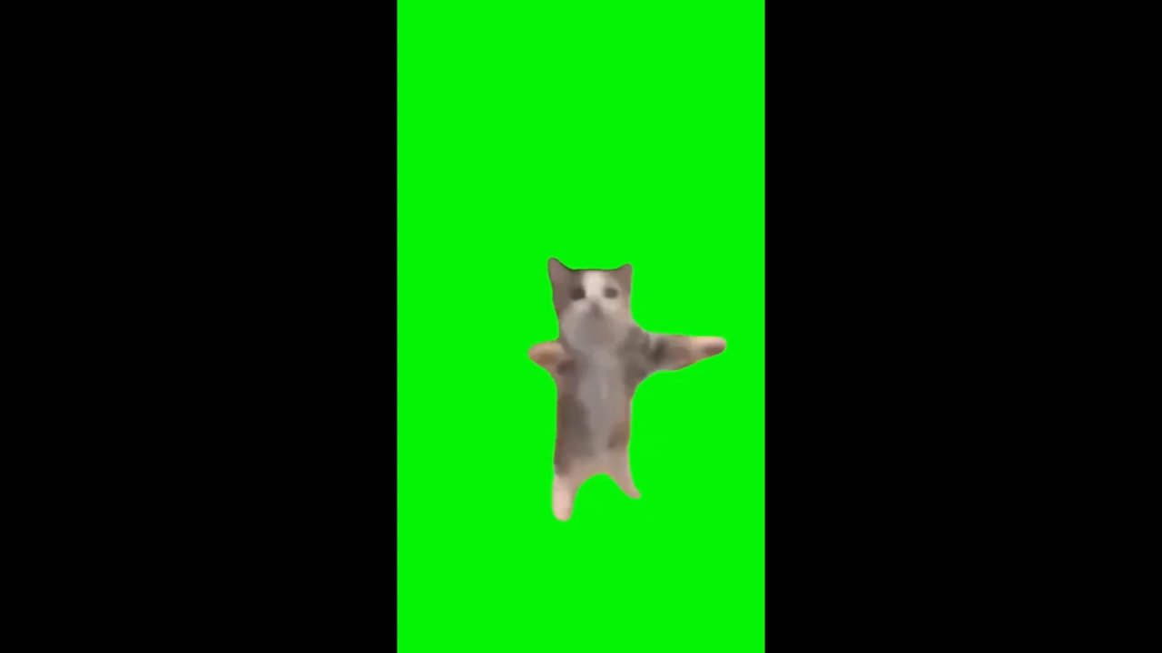 Happy Happy Happy Cat Meme Download